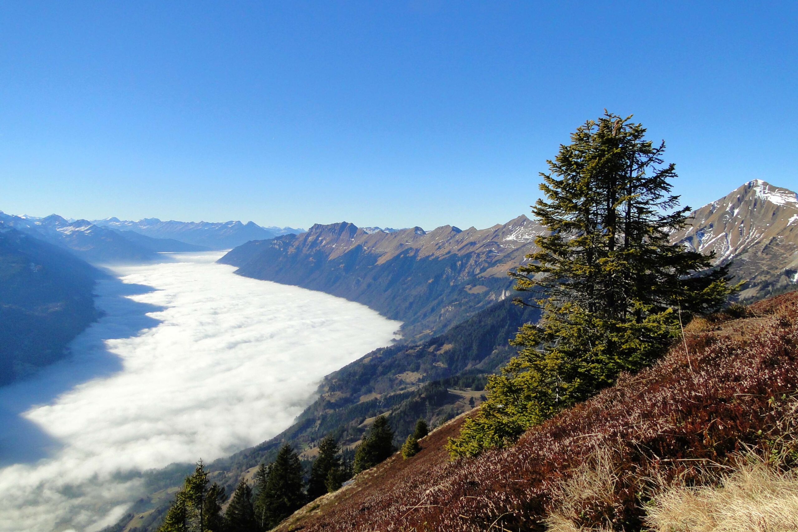 wilerhorn